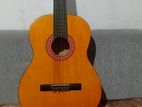 ගිටාර්