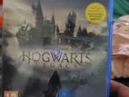 Hogwarts Legacy Video Game