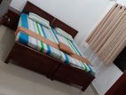 Holiday Apartment For Rent Colombo 6