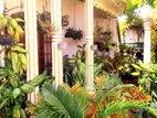 Holiday Bangalow Rent in Jaffna