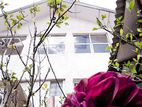 Holiday Bungalow Rent in Nuwara Ealiya (Hill Tea View Cottage)