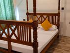 Holiday Apartment Fully Furnished - Ragama