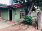 Holiday House for Short Tern Rent Anuradhapura