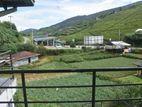 Holiday Rentals in Nuwara Eliya