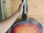 Holly Box Guitar