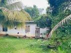 Homagama : 1 Bedroom (13.9P) House for Sale in Mawathgama