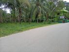 Homagama 156 perched valuable land for sale