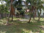 HOMAGAMA : 22.9P HIGH-VALUE SECURE BARE LAND FOR SALE