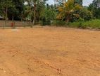HOMAGAMA : 31.9P PRIME LAND FOR SALE