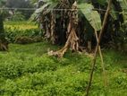 Homagama : 9.3 perches Land for Sale