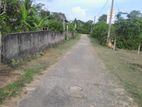 Homagama Aduma milata hodama idamak