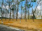 Homagama Beruketiya Land for Sale