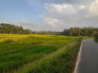 Homagama Beruketiya Land For Sale
