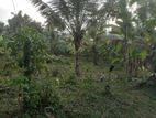 Homagama Beruketiya Land For Sale