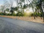 Homagama Beruketiya Land for Sale