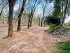 Homagama Beruketiya Land for sale
