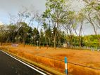 Homagama Beruketiya Land for Sale