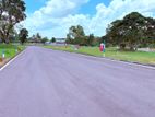 Homagama Beruketiya land for sale