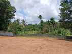 Homagama City Land for Sale