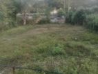 homagama gemunu mw valuable land for sale