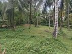Homagama Land for Sale