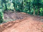 Homagama Land for Sale