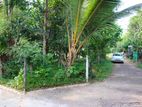 Homagama Land for Sale in Magammana