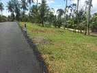 Homagama Land For Sale Thalagala