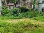 Homagama - Land for sale • TPM2024RATN