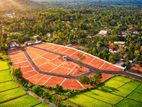Homagama -Meegoda Best land for Investment