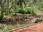Homagama Meegoda Land for Sale with Security and Swiming Pool