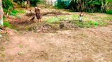 Homagama Premium Land