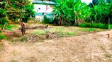 Homagama Premium Land