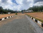 Homagama Road Watareka Valuable Land Plots For Sale