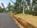 Homagama Thalagala Land for Sale