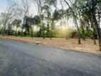 Homagama Thalagala Land Plot for Sale