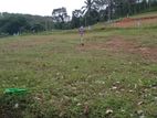 Homagama Town Land for Sale