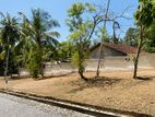 Homagama Town Land for sale