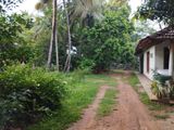 Land with House for Sale Agunukolapalassa