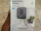 Home Camera Surveillance