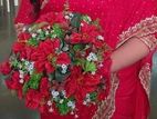 Homecoming Bridal Saree