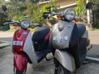 Honda Today 48CC 2024