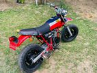 Honda APE 2005