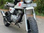 Honda APE 2010