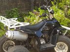 Honda ATV 2007