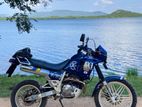 Honda AX1 1999
