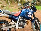 Honda AX1 2006