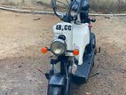 Honda Bite 2025
