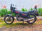 Honda CB Hornet 2003