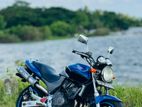 Honda CB Hornet 2005